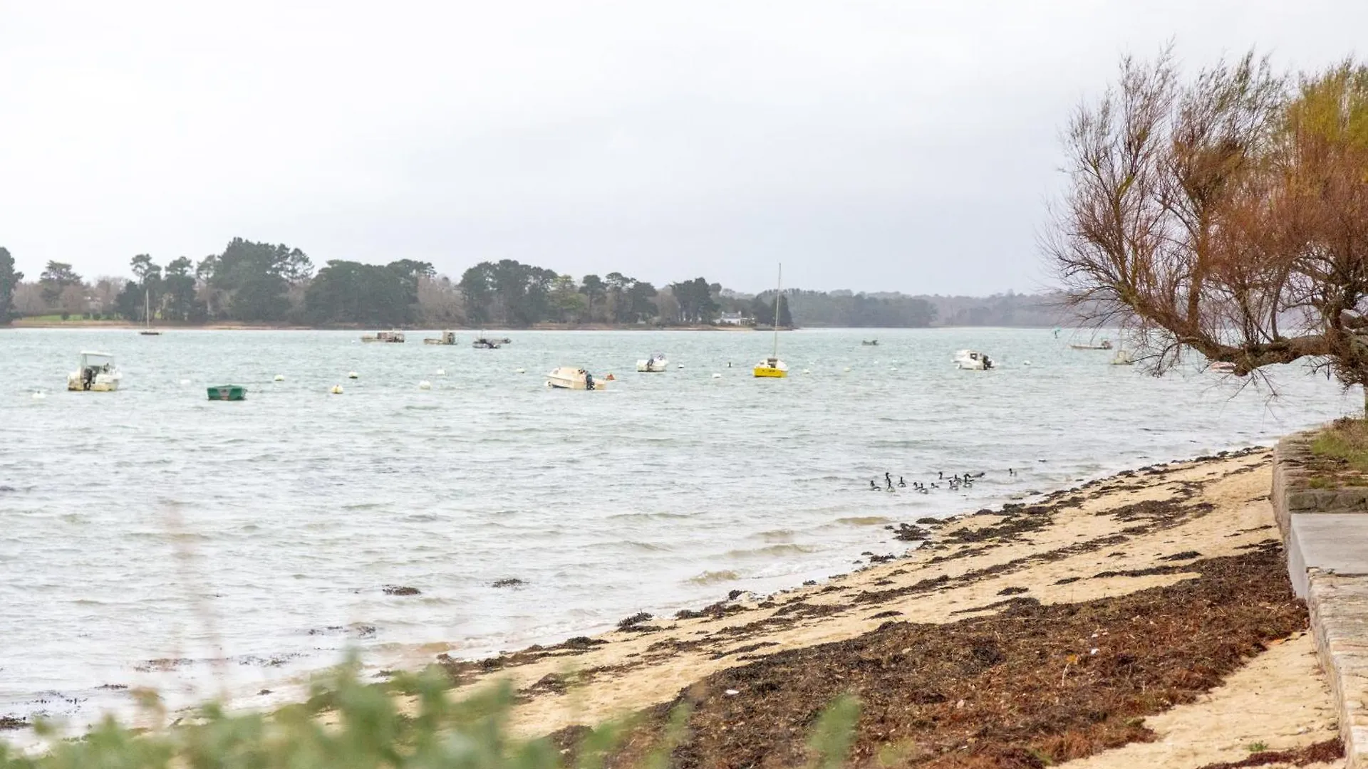 Maison 6 Pers 20M Plage Île-Tudy 0*,